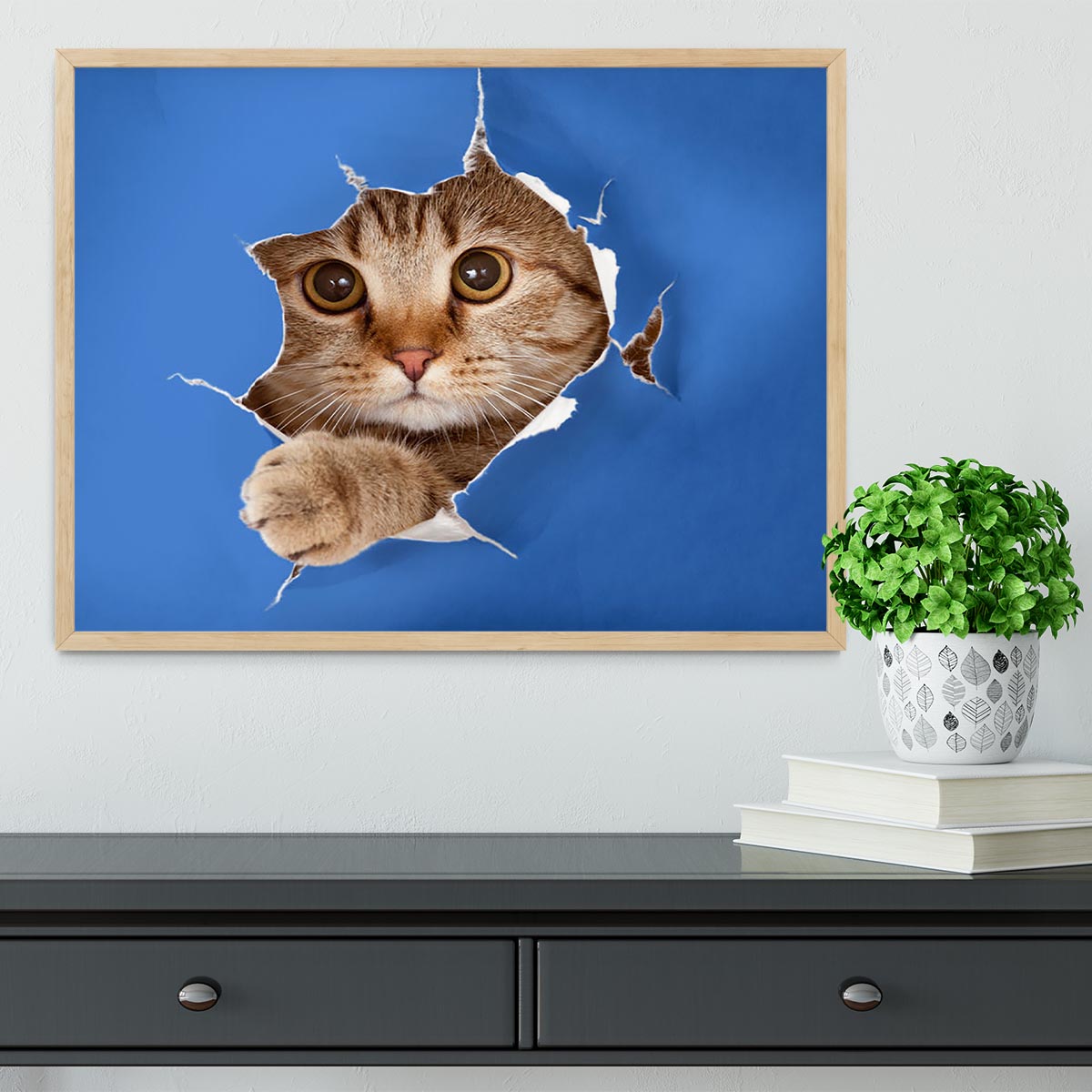 Cat in blue chromakey paper hole Framed Print - Canvas Art Rocks - 4