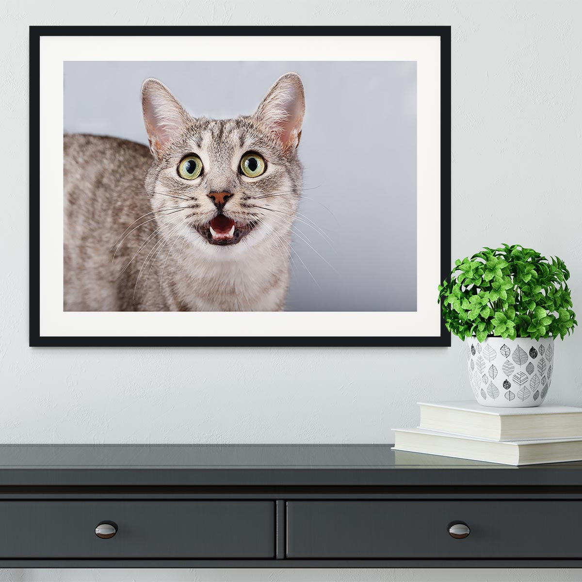 Cat meows Framed Print - Canvas Art Rocks - 1
