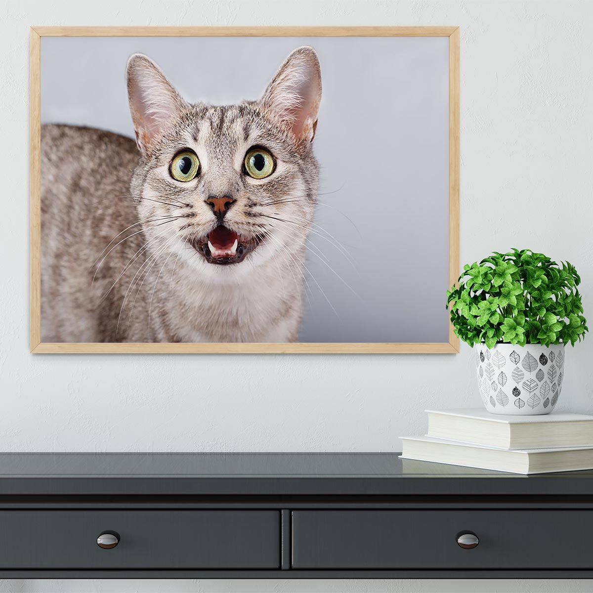 Cat meows Framed Print - Canvas Art Rocks - 4