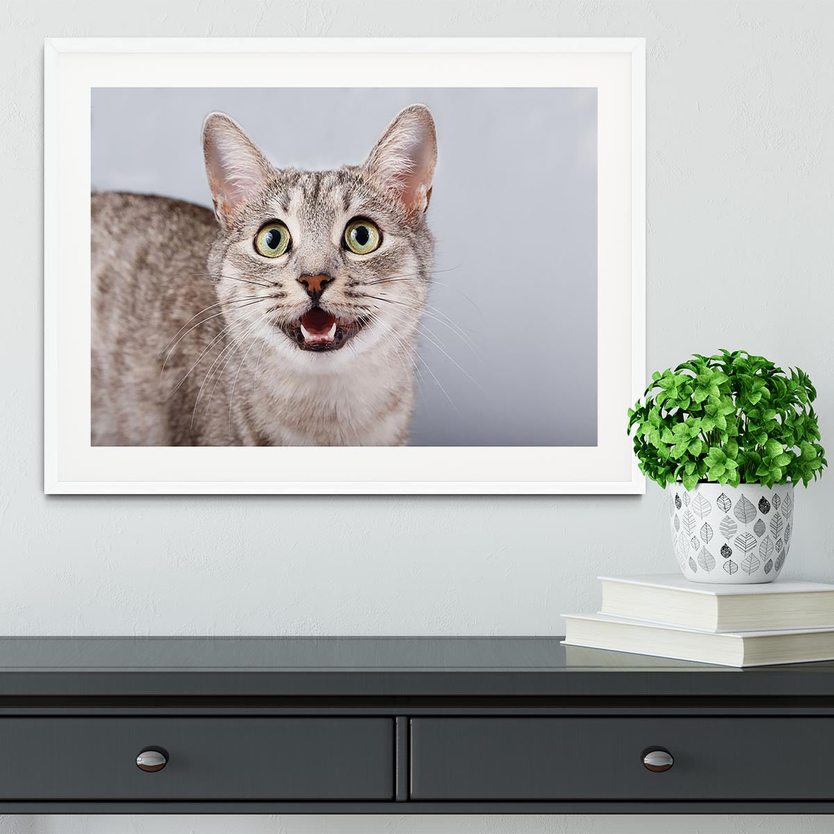 Cat meows Framed Print - Canvas Art Rocks - 5