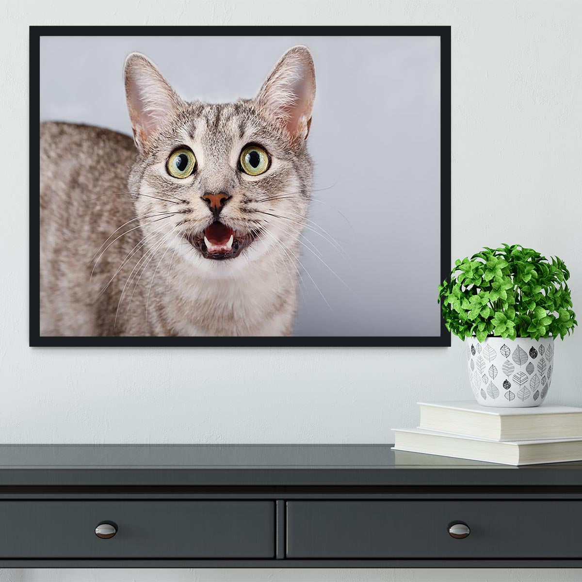 Cat meows gray tabby Shorthair Framed Print - Canvas Art Rocks - 2