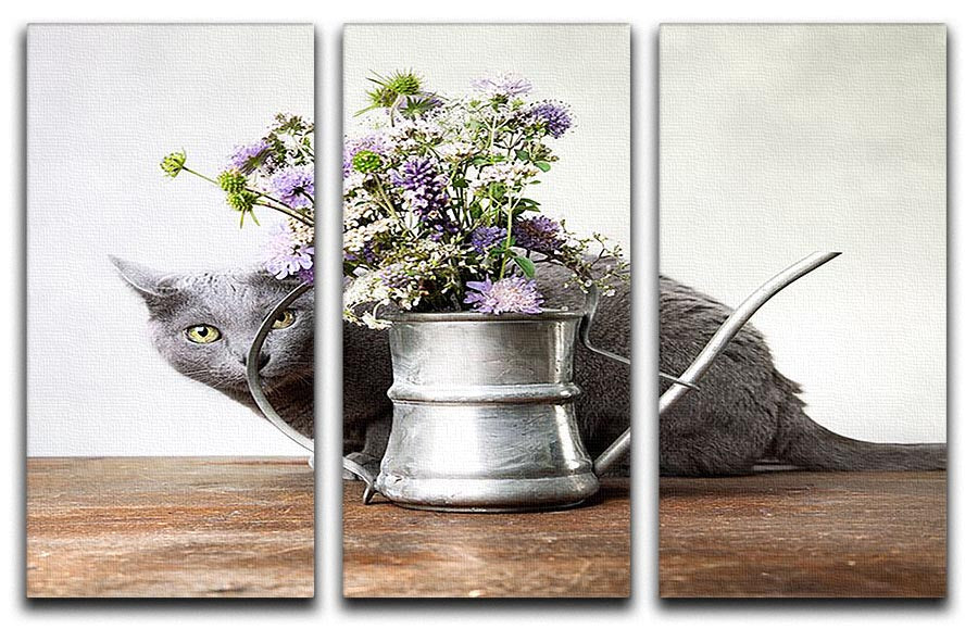 Cat with Flowers in old decorative watering can 3 Split Panel Canvas Print - Canvas Art Rocks - 1