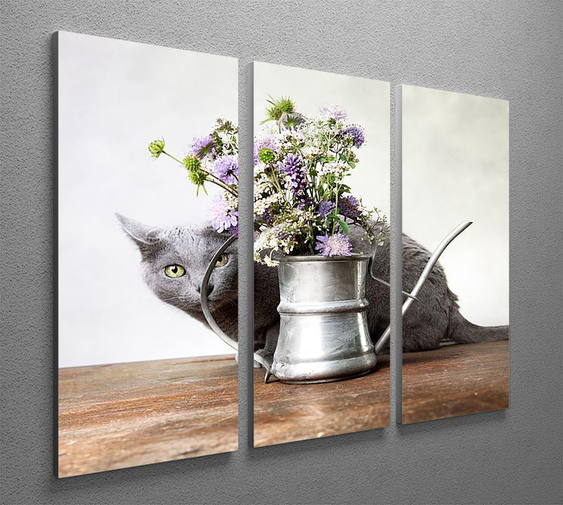 Cat with Flowers in old decorative watering can 3 Split Panel Canvas Print - Canvas Art Rocks - 2