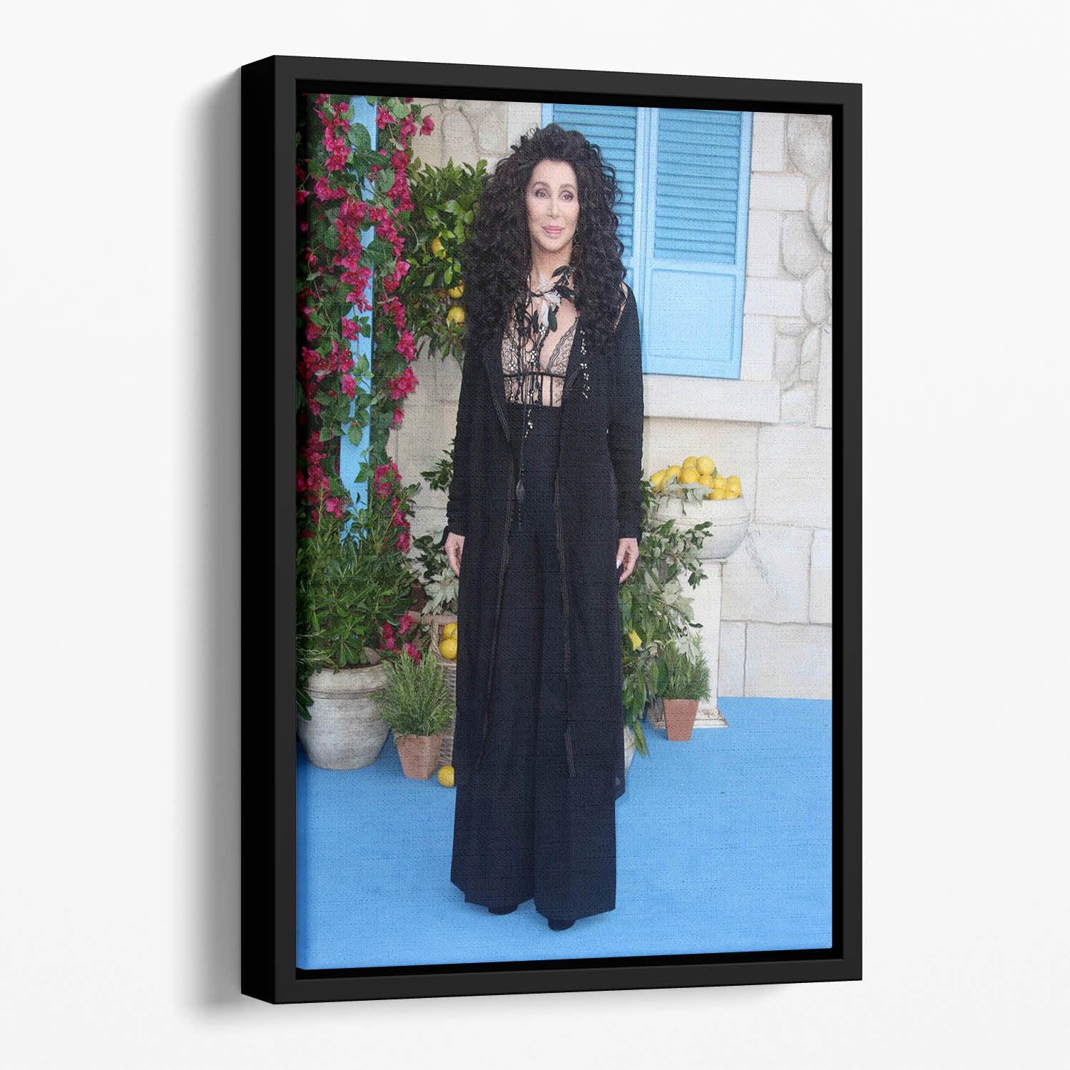 Cher Mamma Mia Floating Framed Canvas