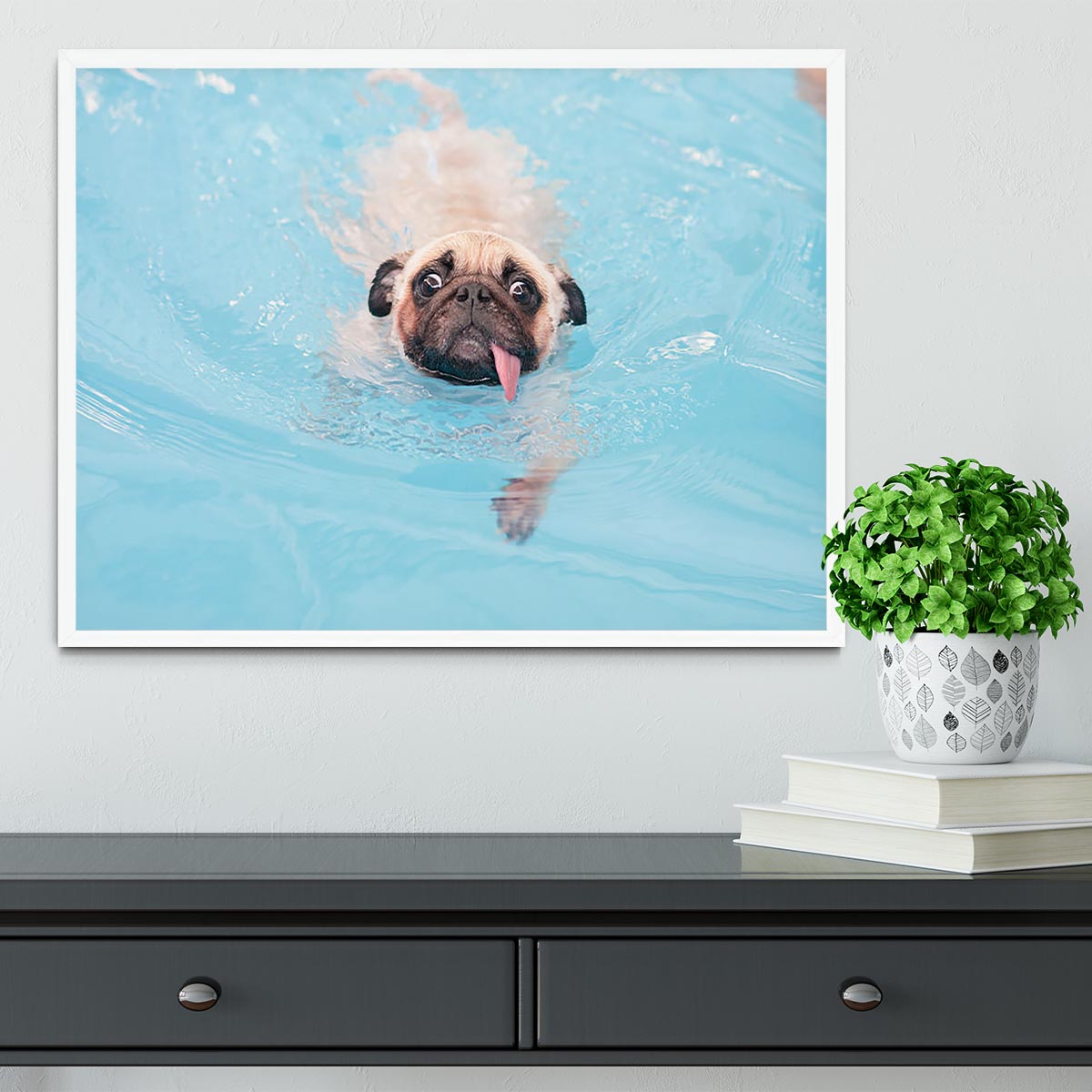 Close-up a cute dog puppy Pug Framed Print - Canvas Art Rocks -6
