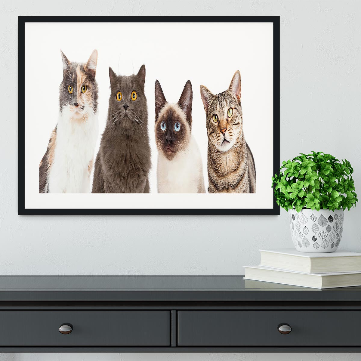 Close-up image of four different breed cats looking forward at the camera Framed Print - Canvas Art Rocks - 1