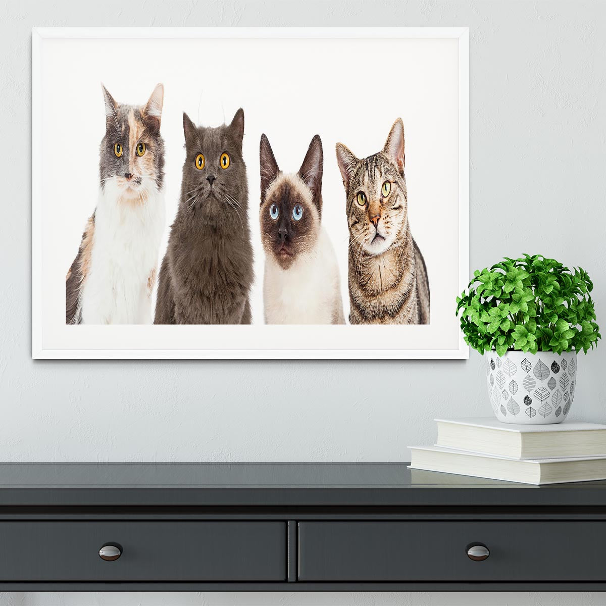 Close-up image of four different breed cats looking forward at the camera Framed Print - Canvas Art Rocks - 5