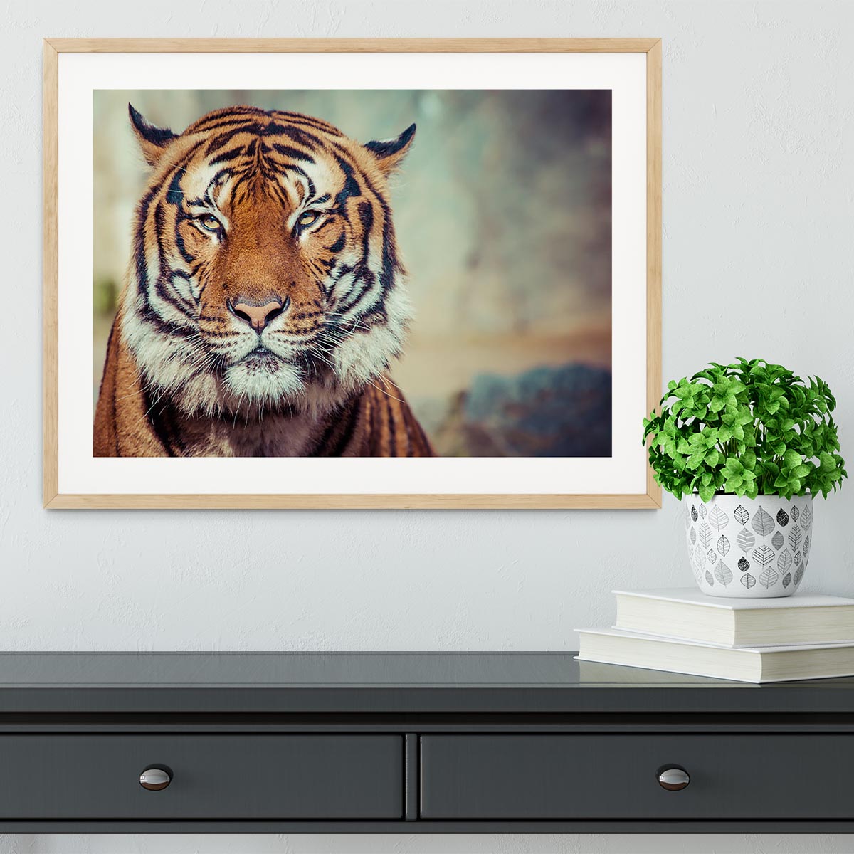 Close-up of a Tigers face Framed Print - Canvas Art Rocks - 3