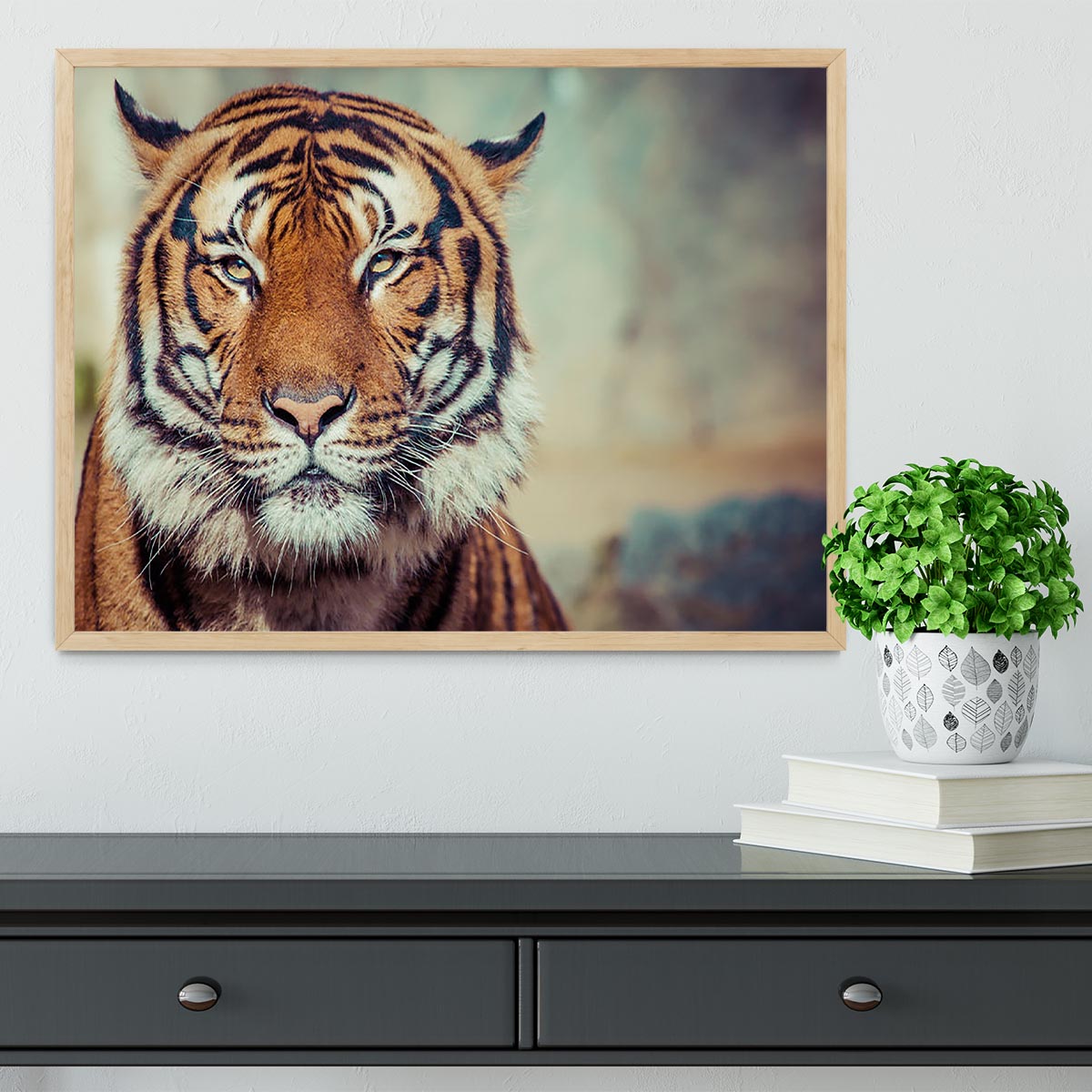 Close-up of a Tigers face Framed Print - Canvas Art Rocks - 4