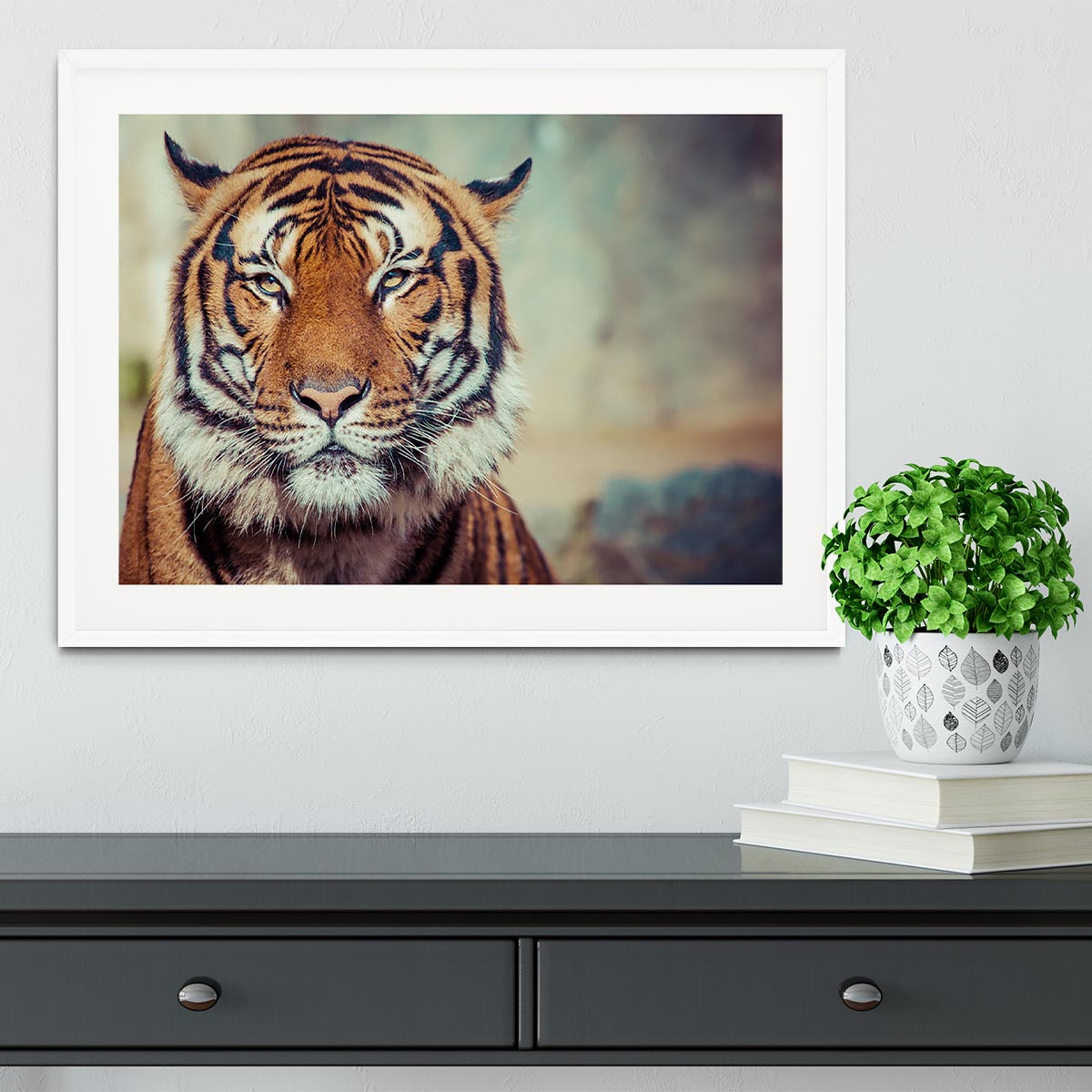 Close-up of a Tigers face Framed Print - Canvas Art Rocks - 5