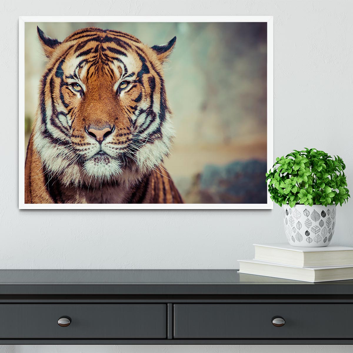 Close-up of a Tigers face Framed Print - Canvas Art Rocks -6