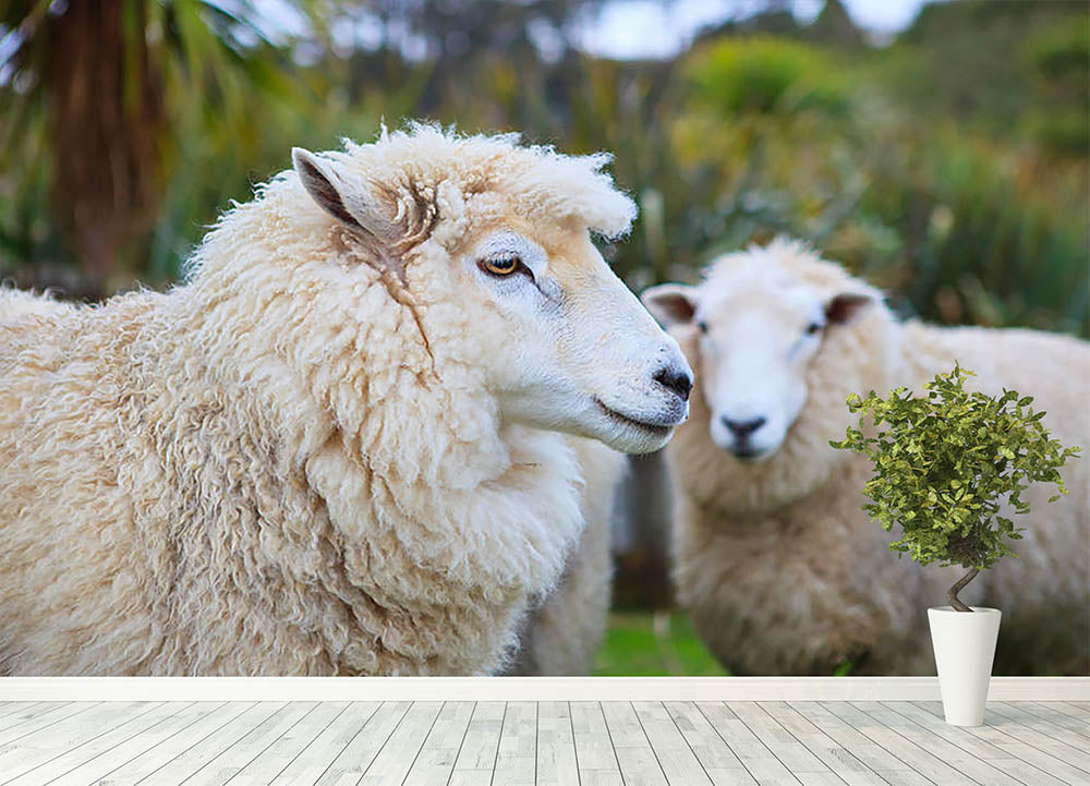 Sheep Wallpapers HD - Izinhlelo zokusebenza ku-Google Play