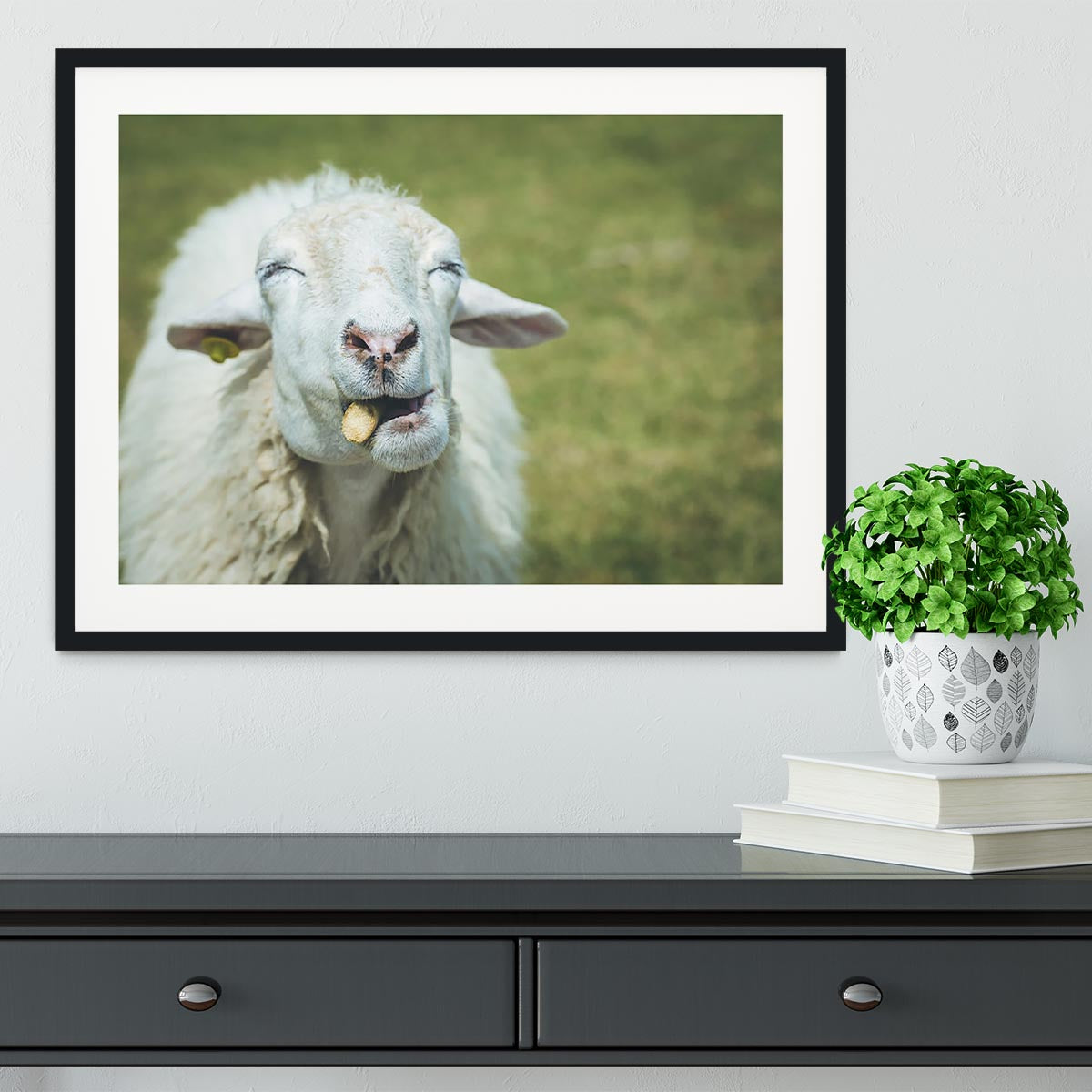 Close up head of sheep in farm Framed Print - Canvas Art Rocks - 1