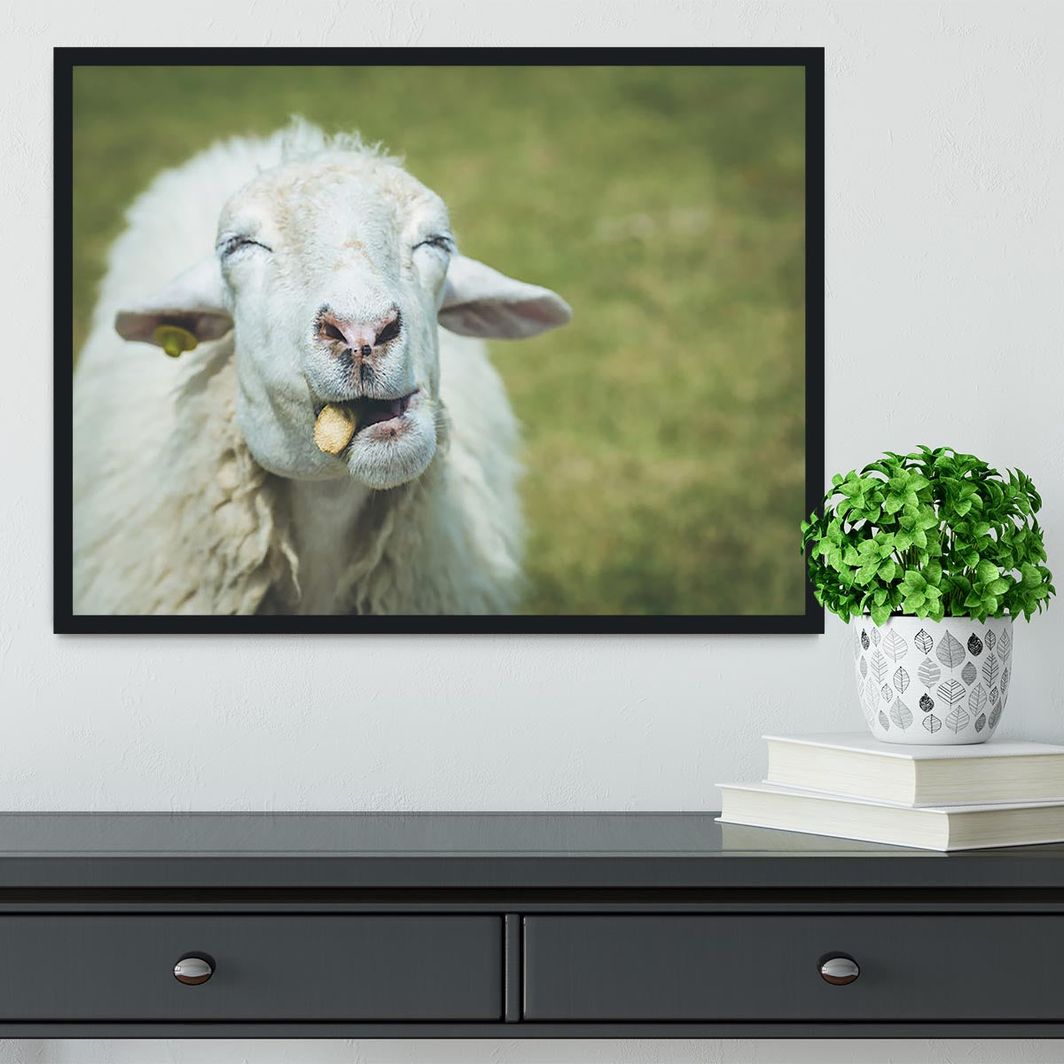 Close up head of sheep in farm Framed Print - Canvas Art Rocks - 2