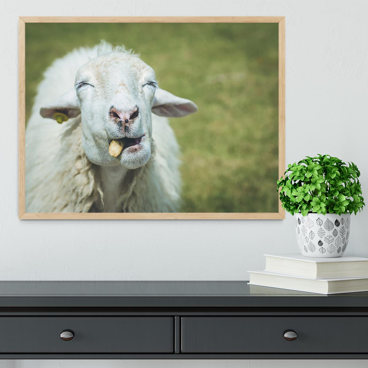 Close up head of sheep in farm Framed Print - Canvas Art Rocks - 4