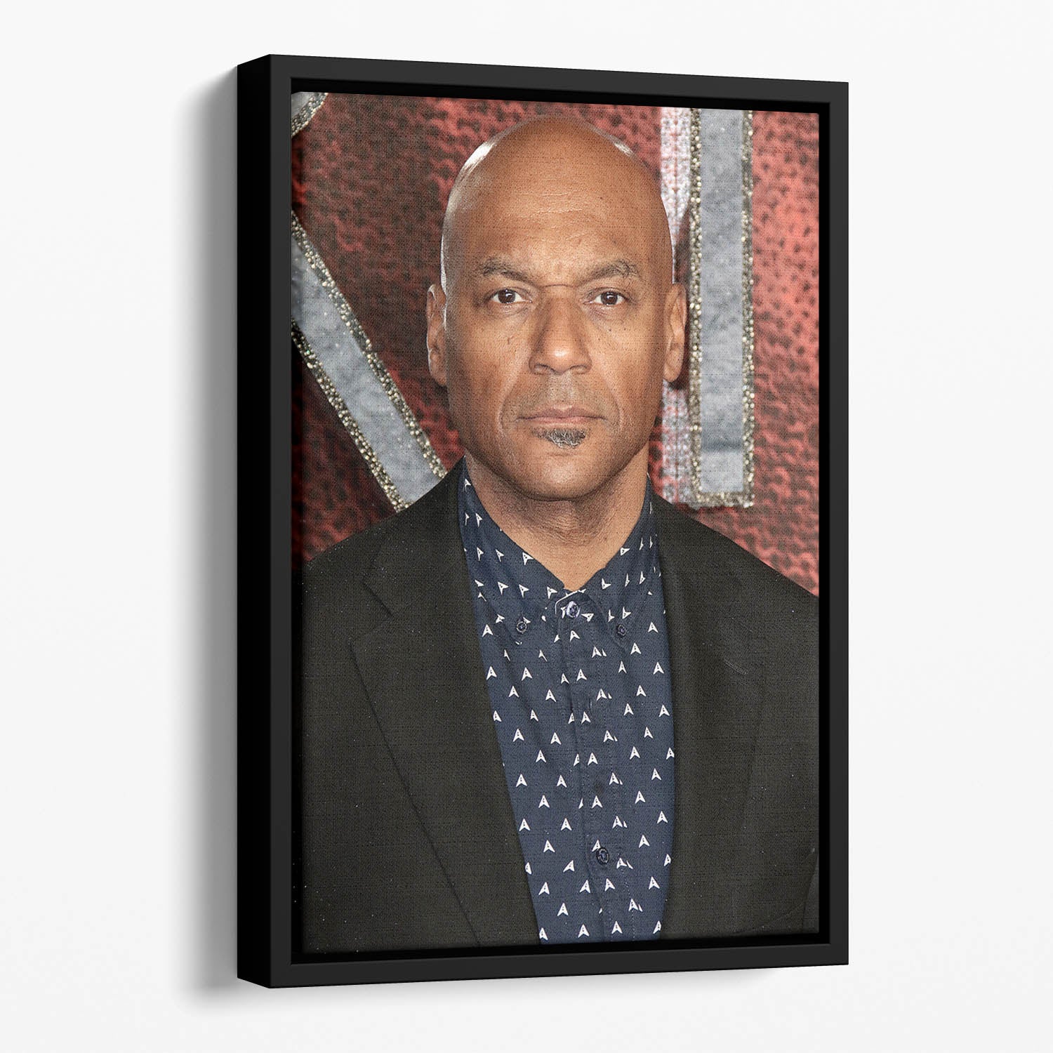 Colin Salmon Floating Framed Canvas