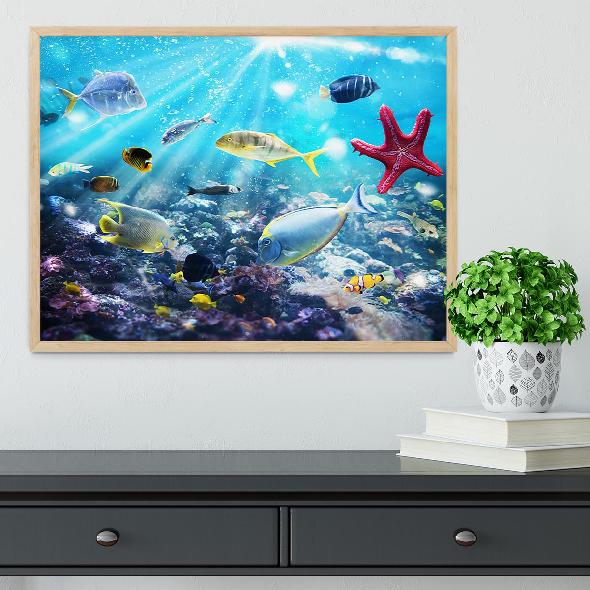 Colourful fish and marine vegetation undersea with sunray Framed Print - Canvas Art Rocks - 4