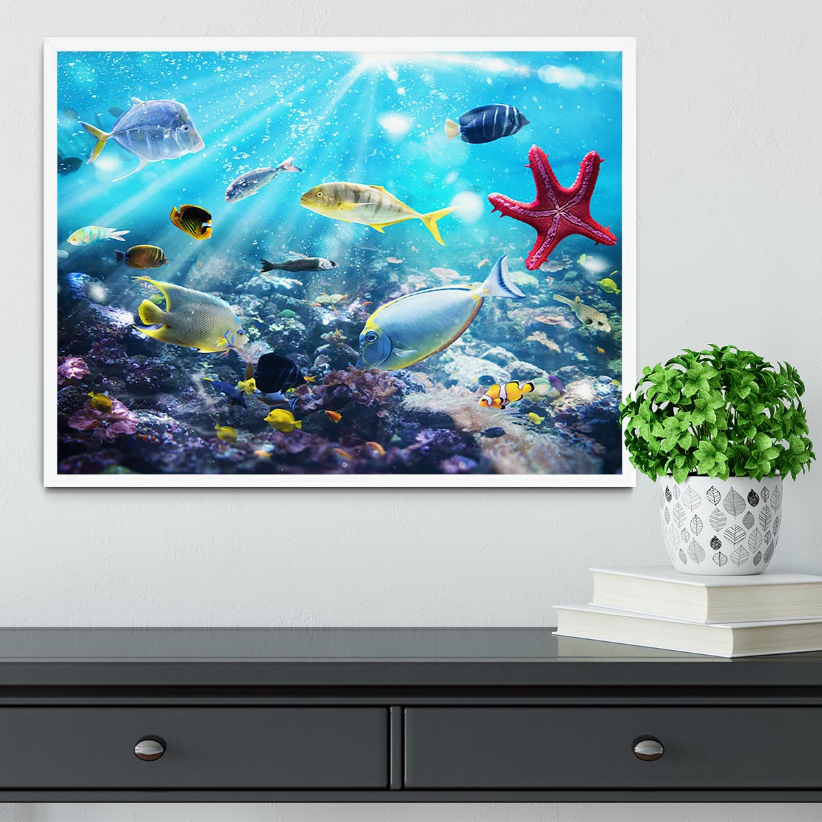 Colourful fish and marine vegetation undersea with sunray Framed Print - Canvas Art Rocks -6