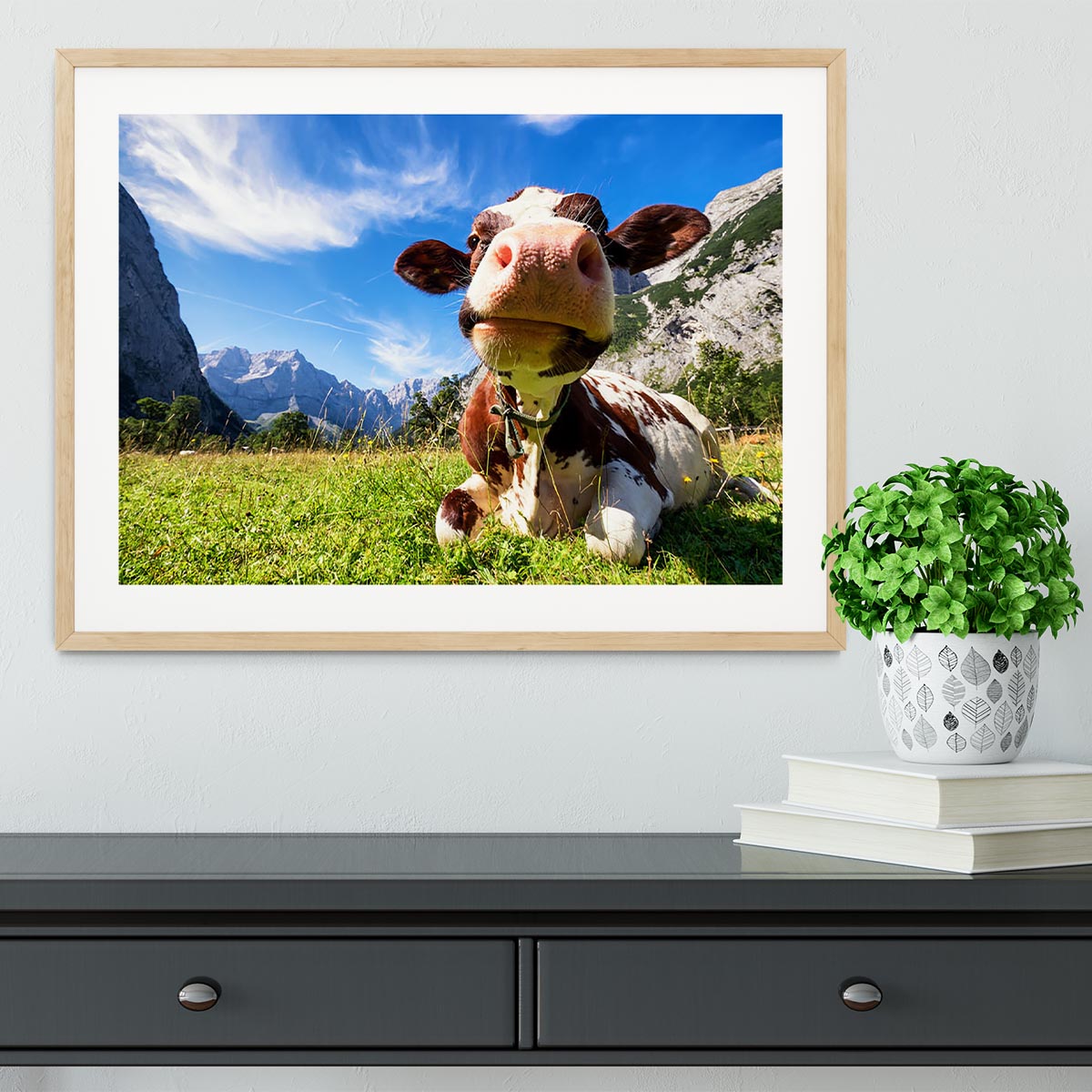 Cows at the karwendel mountains in austria Framed Print - Canvas Art Rocks - 3