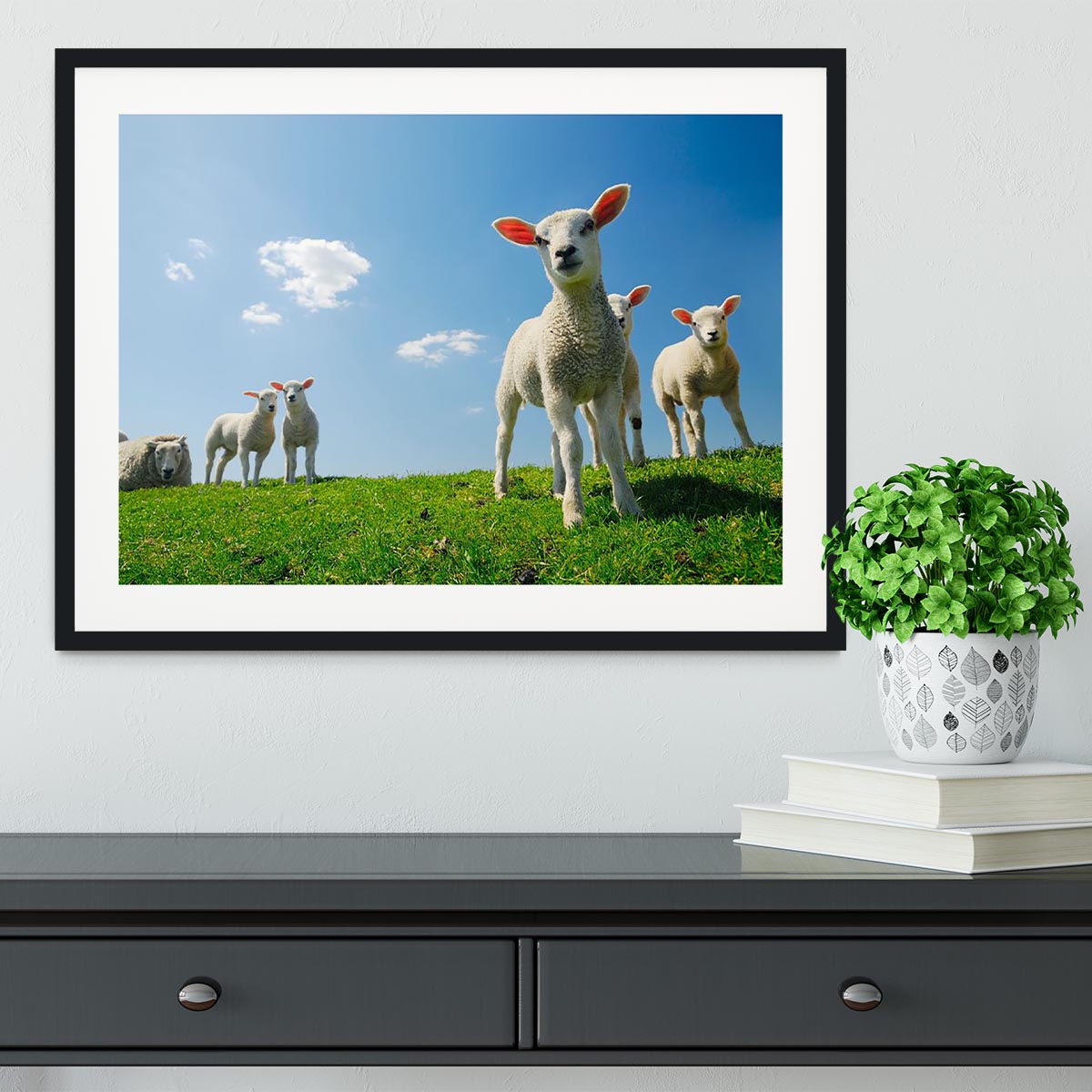 Curious lambs looking at the camera in spring Framed Print - Canvas Art Rocks - 1