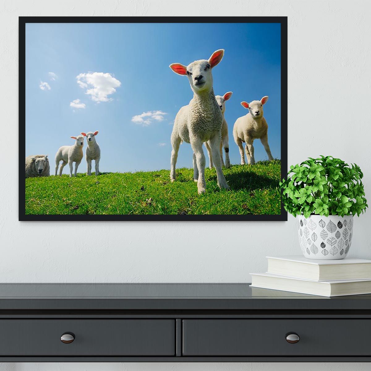Curious lambs looking at the camera in spring Framed Print - Canvas Art Rocks - 2