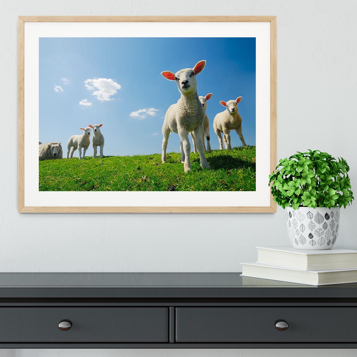 Curious lambs looking at the camera in spring Framed Print - Canvas Art Rocks - 3