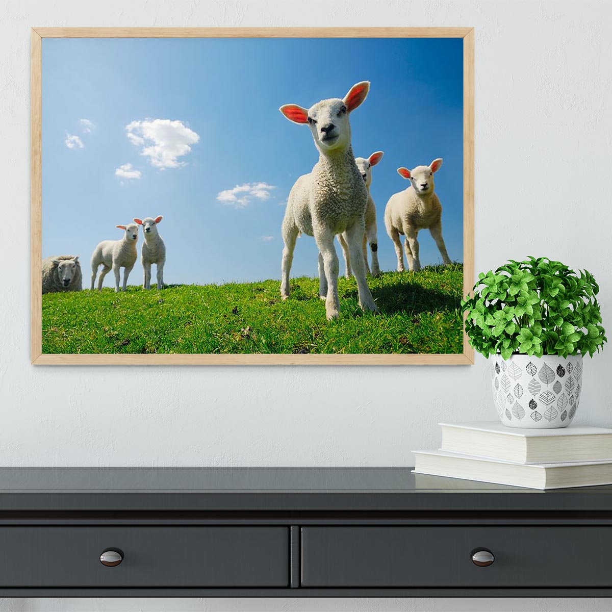 Curious lambs looking at the camera in spring Framed Print - Canvas Art Rocks - 4