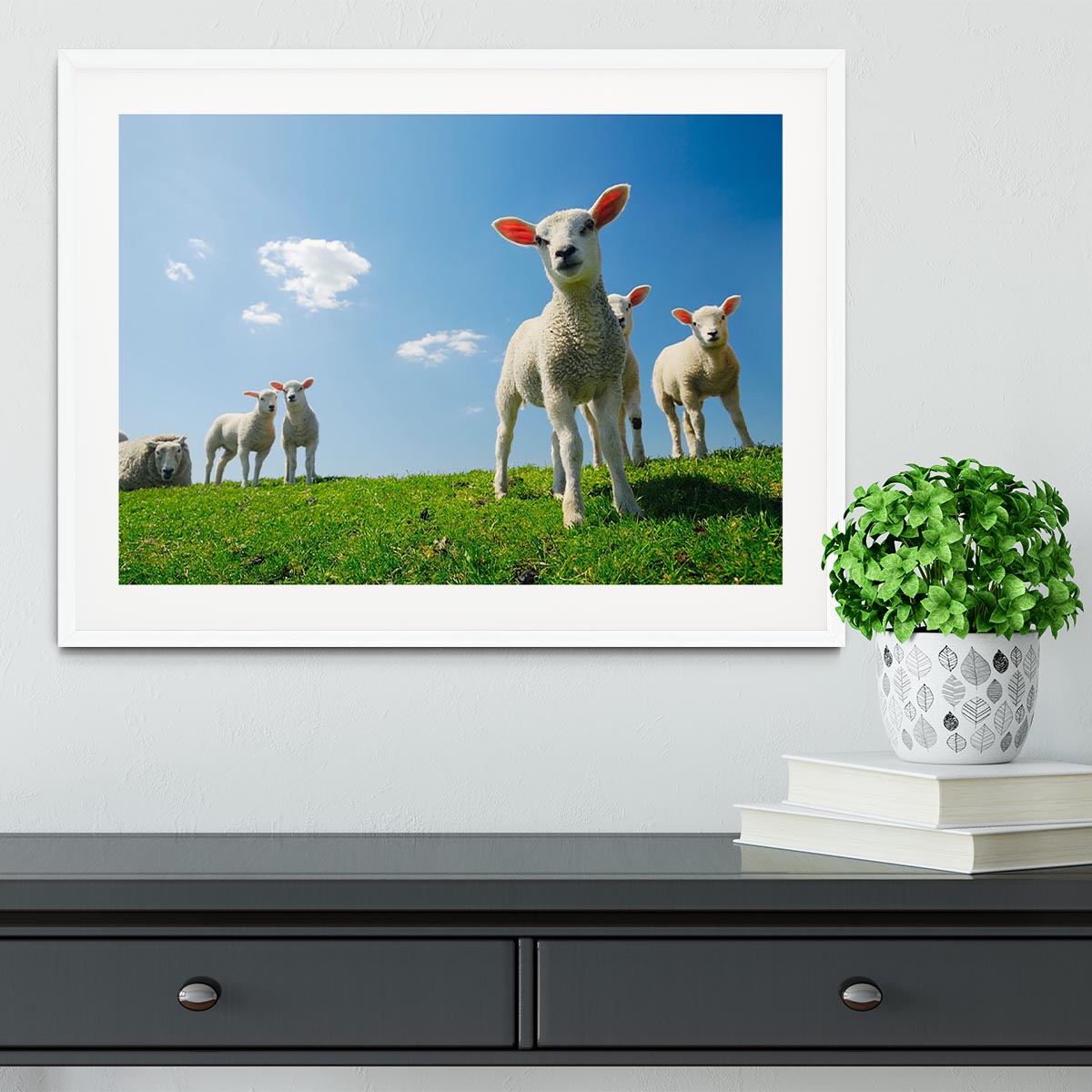 Curious lambs looking at the camera in spring Framed Print - Canvas Art Rocks - 5