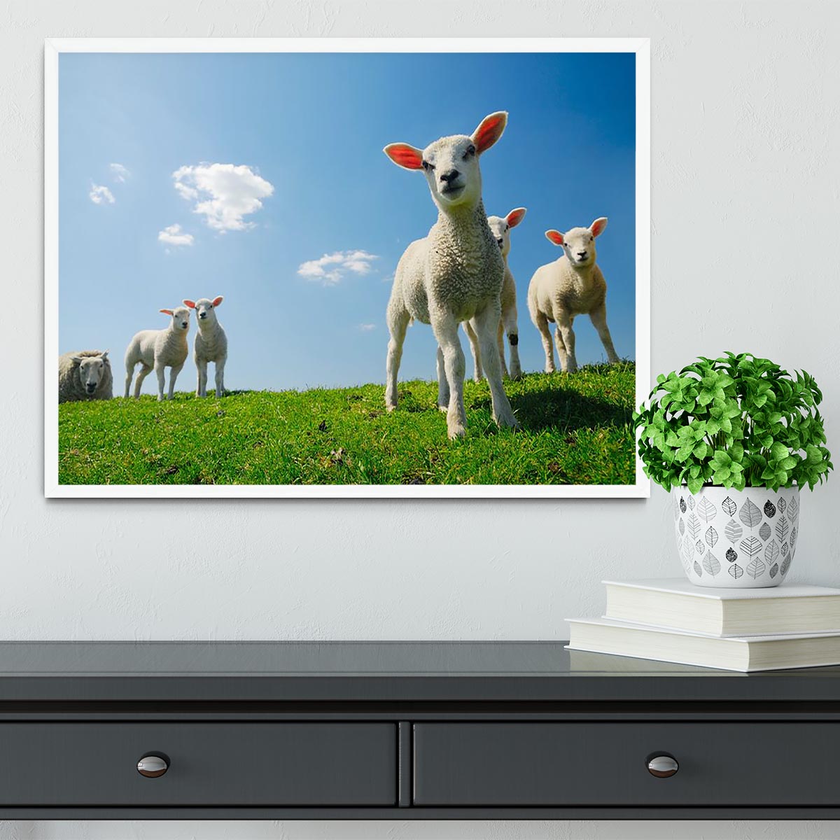 Curious lambs looking at the camera in spring Framed Print - Canvas Art Rocks -6