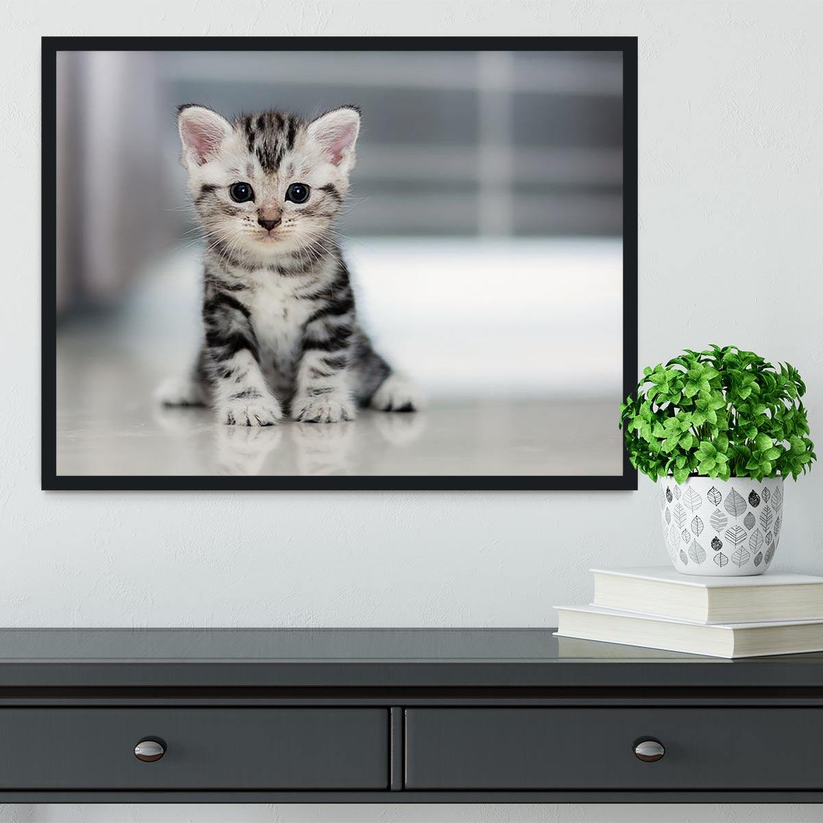 Cute American shorthair cat kitten Framed Print - Canvas Art Rocks - 2