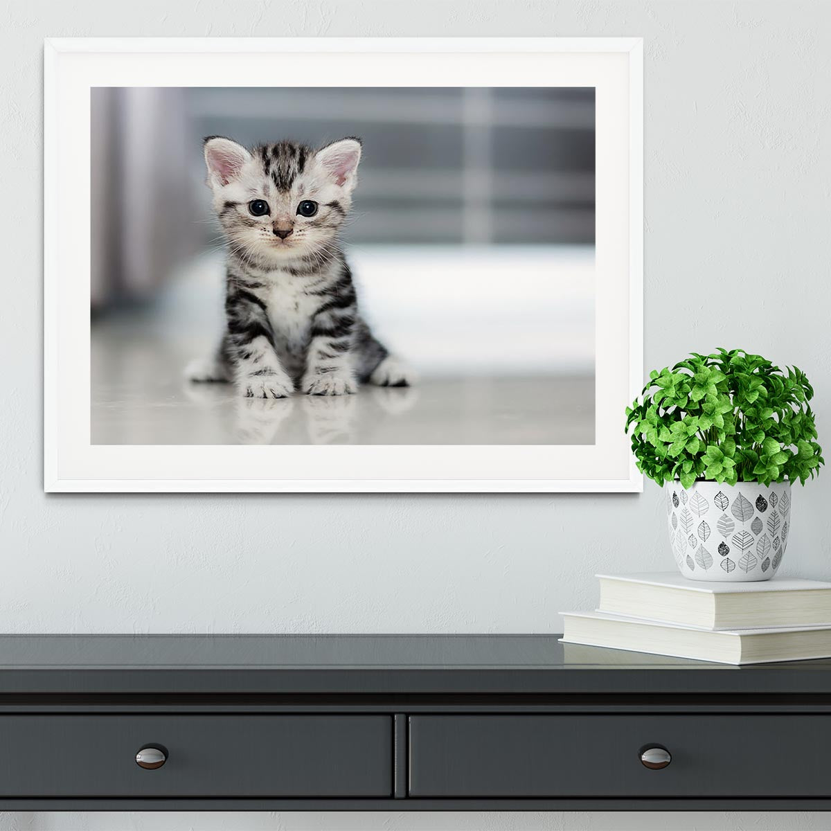Cute American shorthair cat kitten Framed Print - Canvas Art Rocks - 5