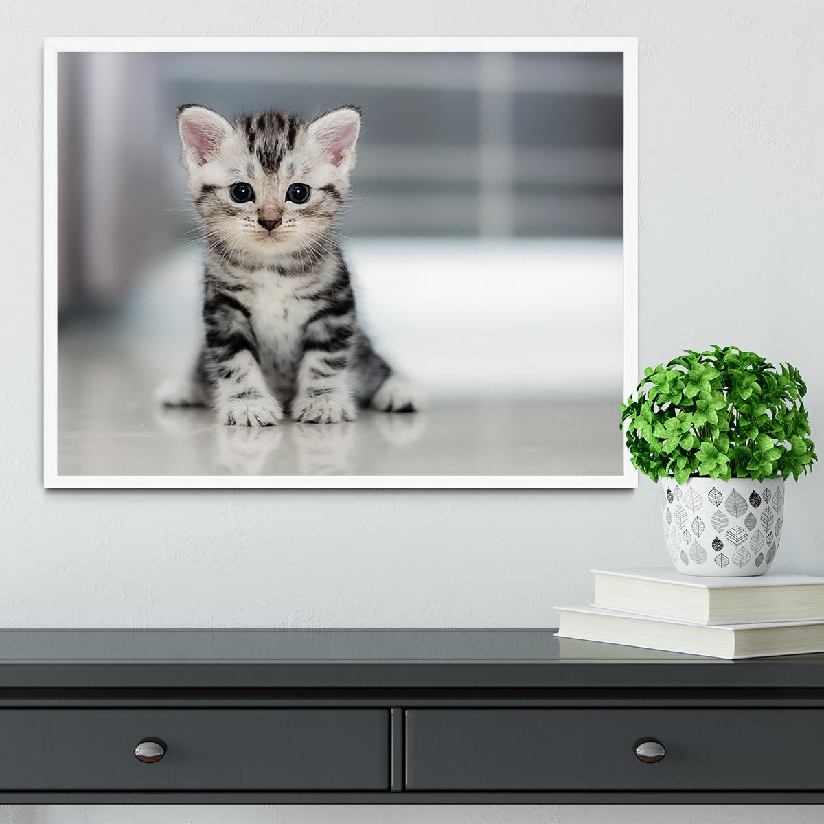 Cute American shorthair cat kitten Framed Print - Canvas Art Rocks -6