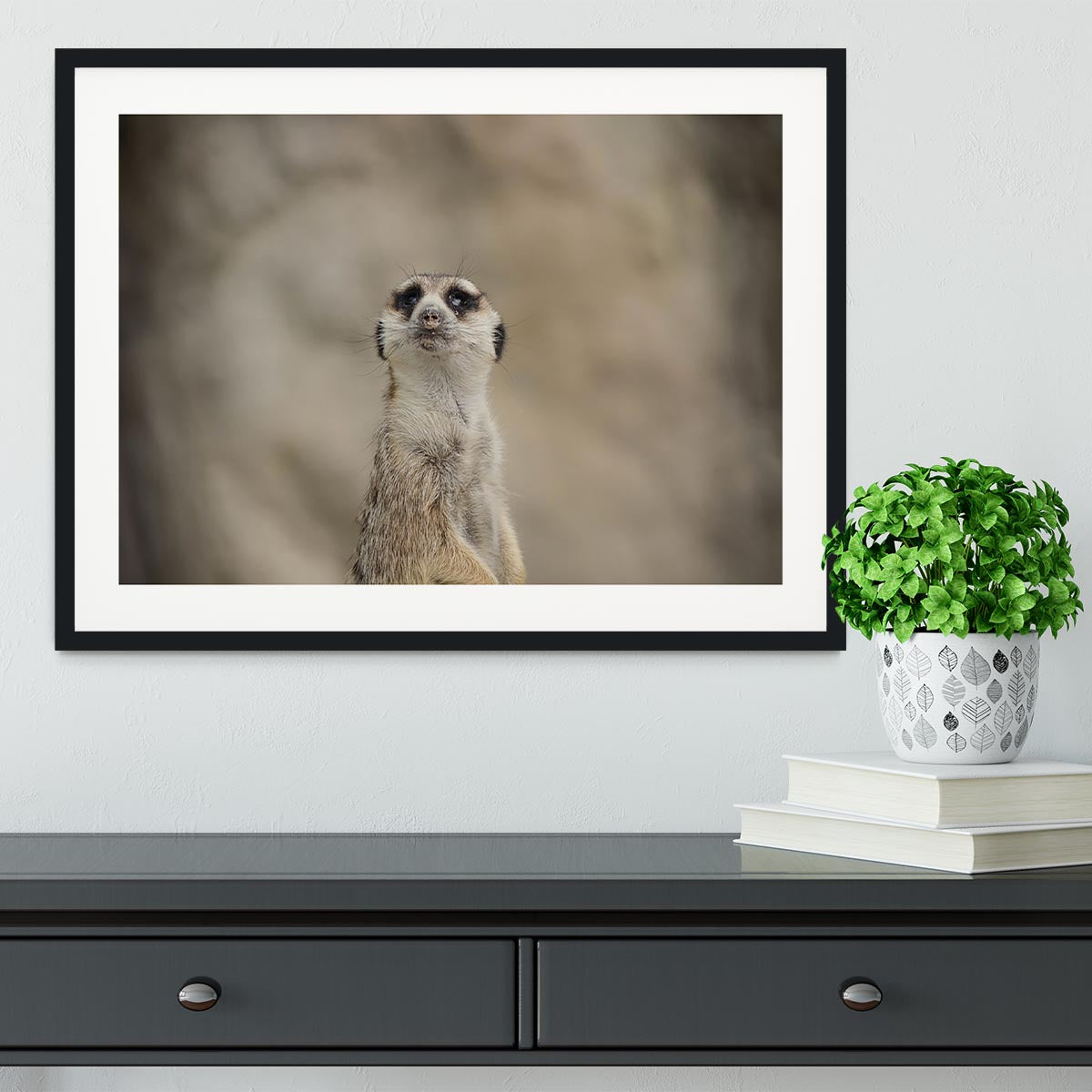 Cute Meerkat Framed Print - Canvas Art Rocks - 1