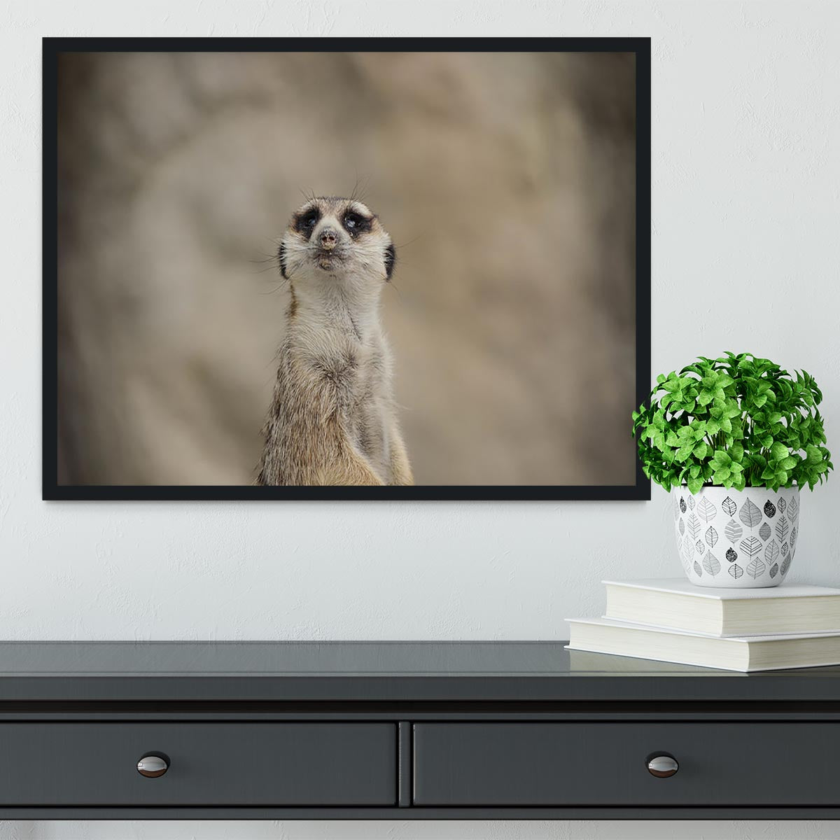 Cute Meerkat Framed Print - Canvas Art Rocks - 2