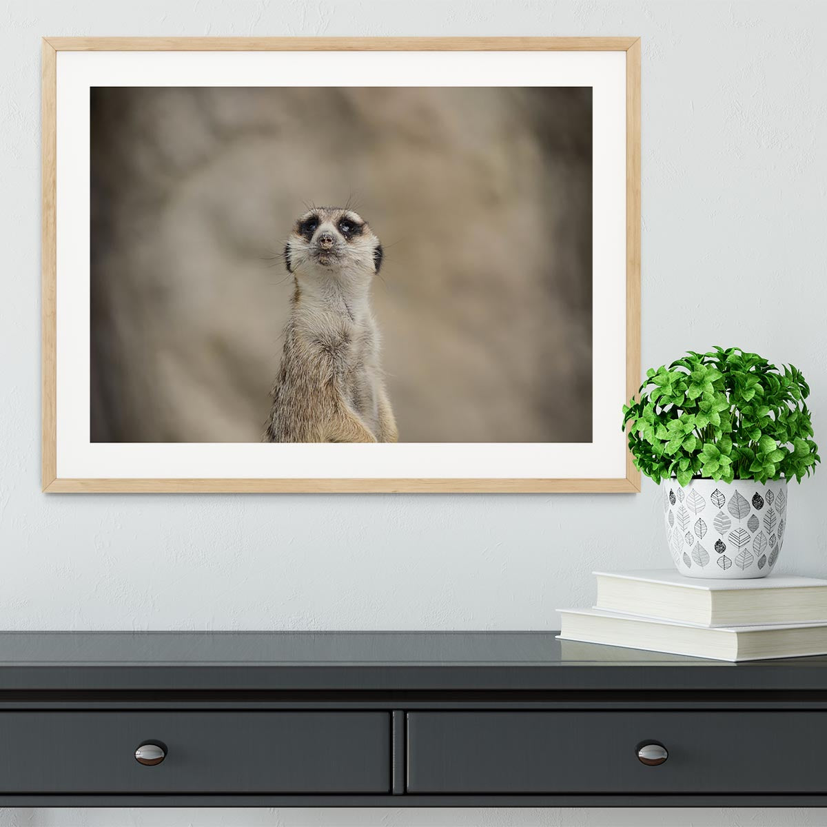 Cute Meerkat Framed Print - Canvas Art Rocks - 3