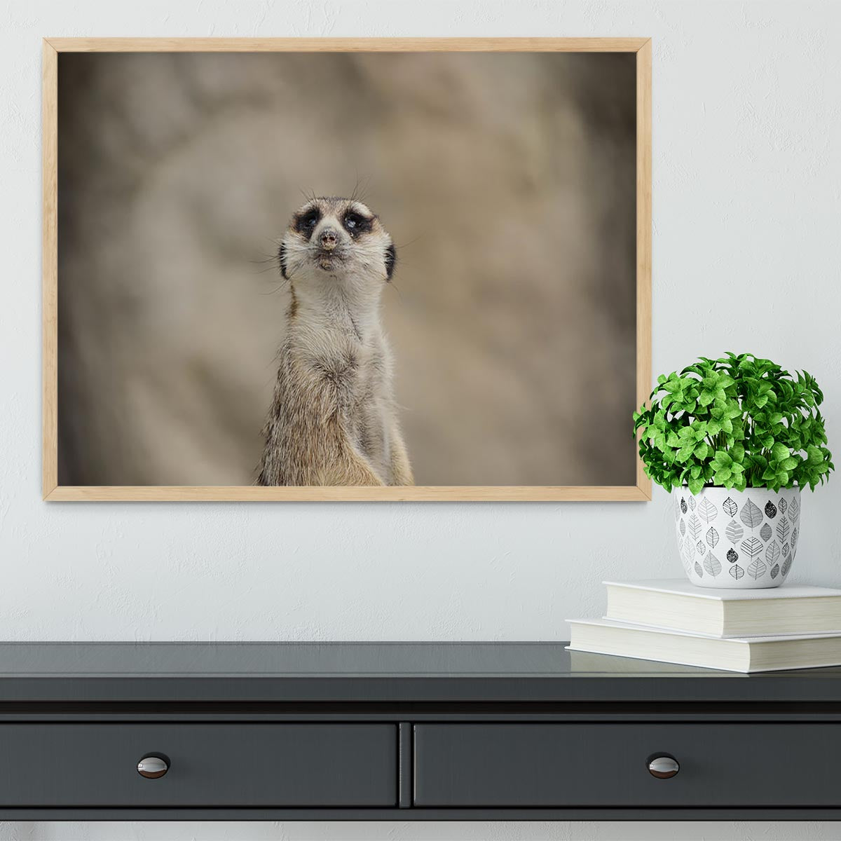 Cute Meerkat Framed Print - Canvas Art Rocks - 4