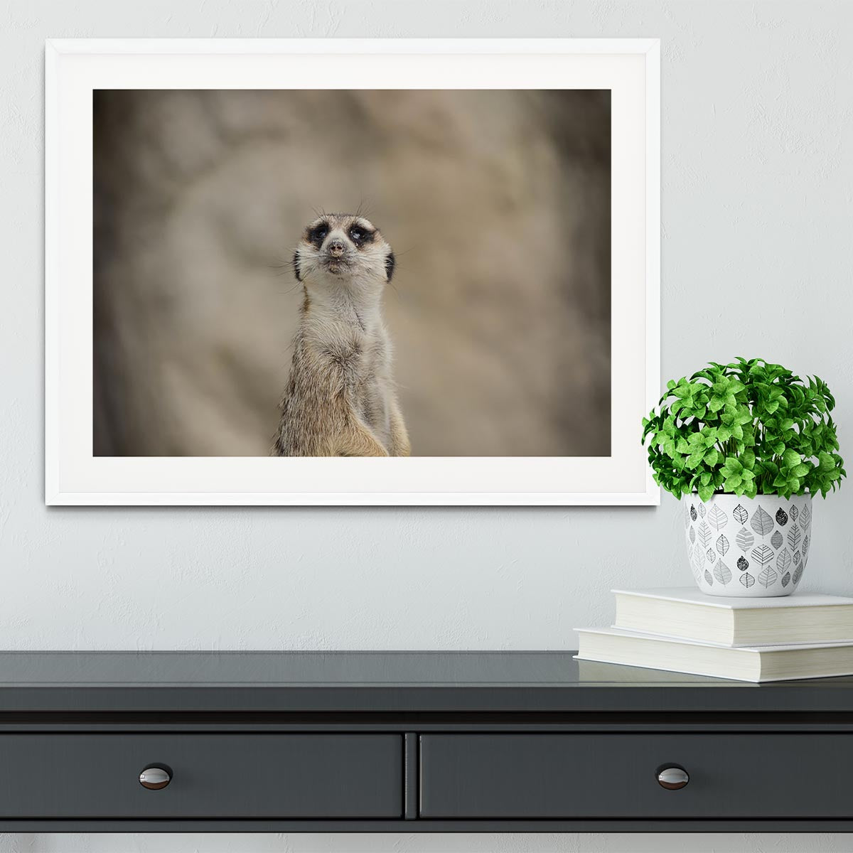 Cute Meerkat Framed Print - Canvas Art Rocks - 5