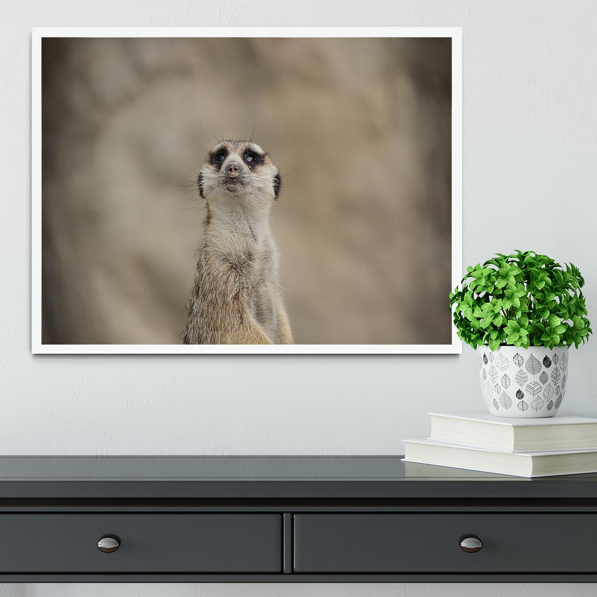 Cute Meerkat Framed Print - Canvas Art Rocks -6