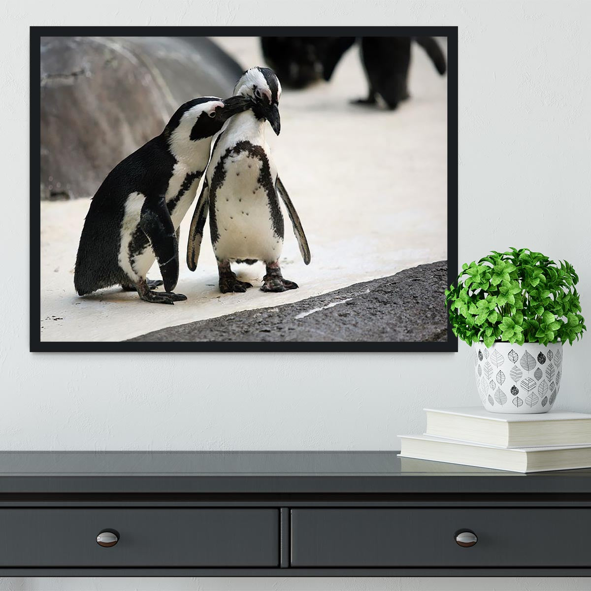 Cute affectionate penguin couple at the zoo Framed Print - Canvas Art Rocks - 2