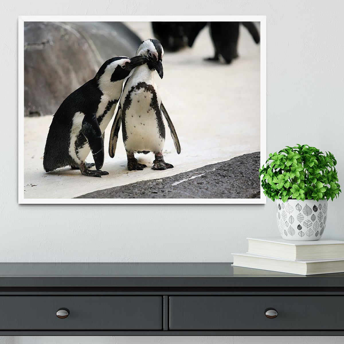 Cute affectionate penguin couple at the zoo Framed Print - Canvas Art Rocks -6