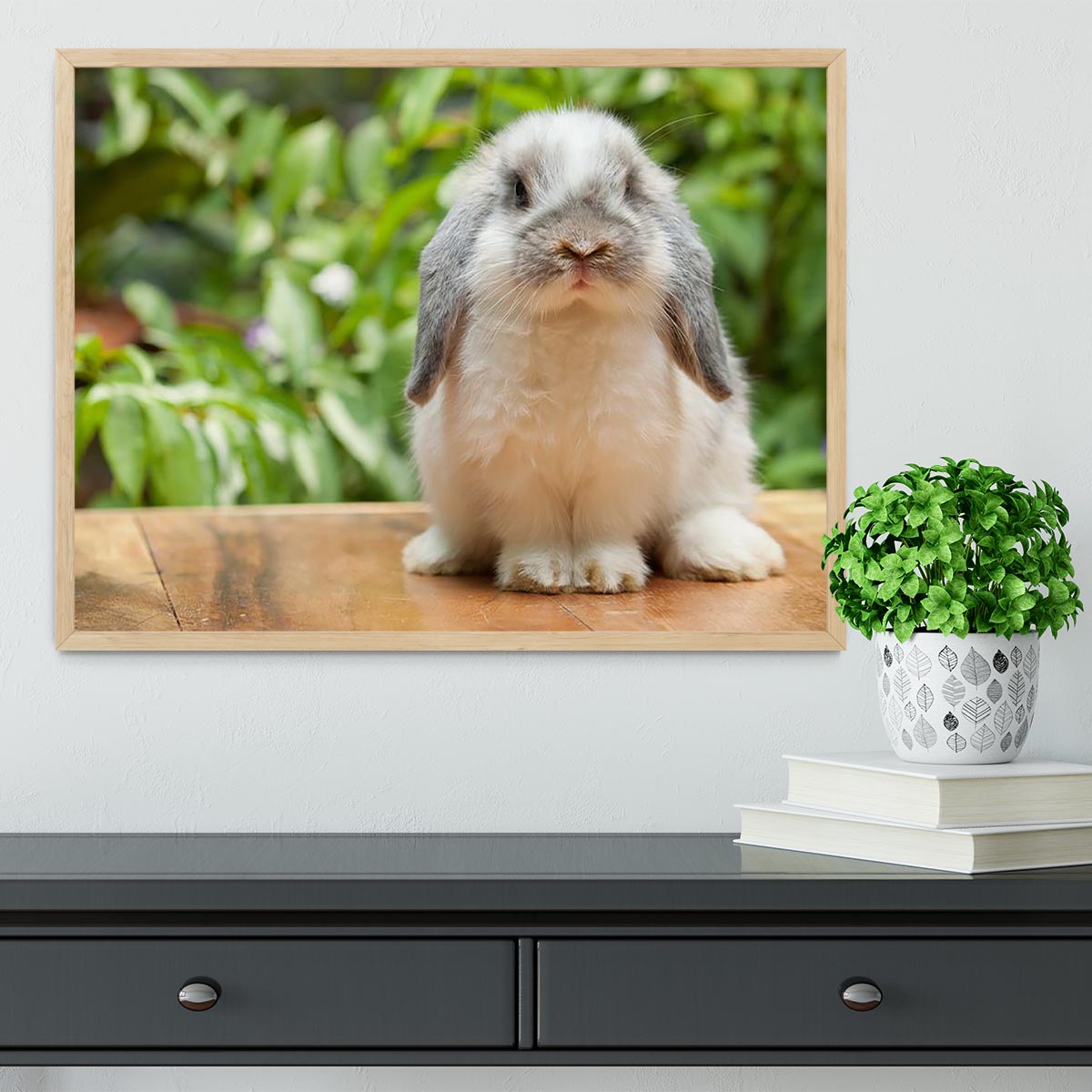 Cute holland lop rabbit Framed Print - Canvas Art Rocks - 4