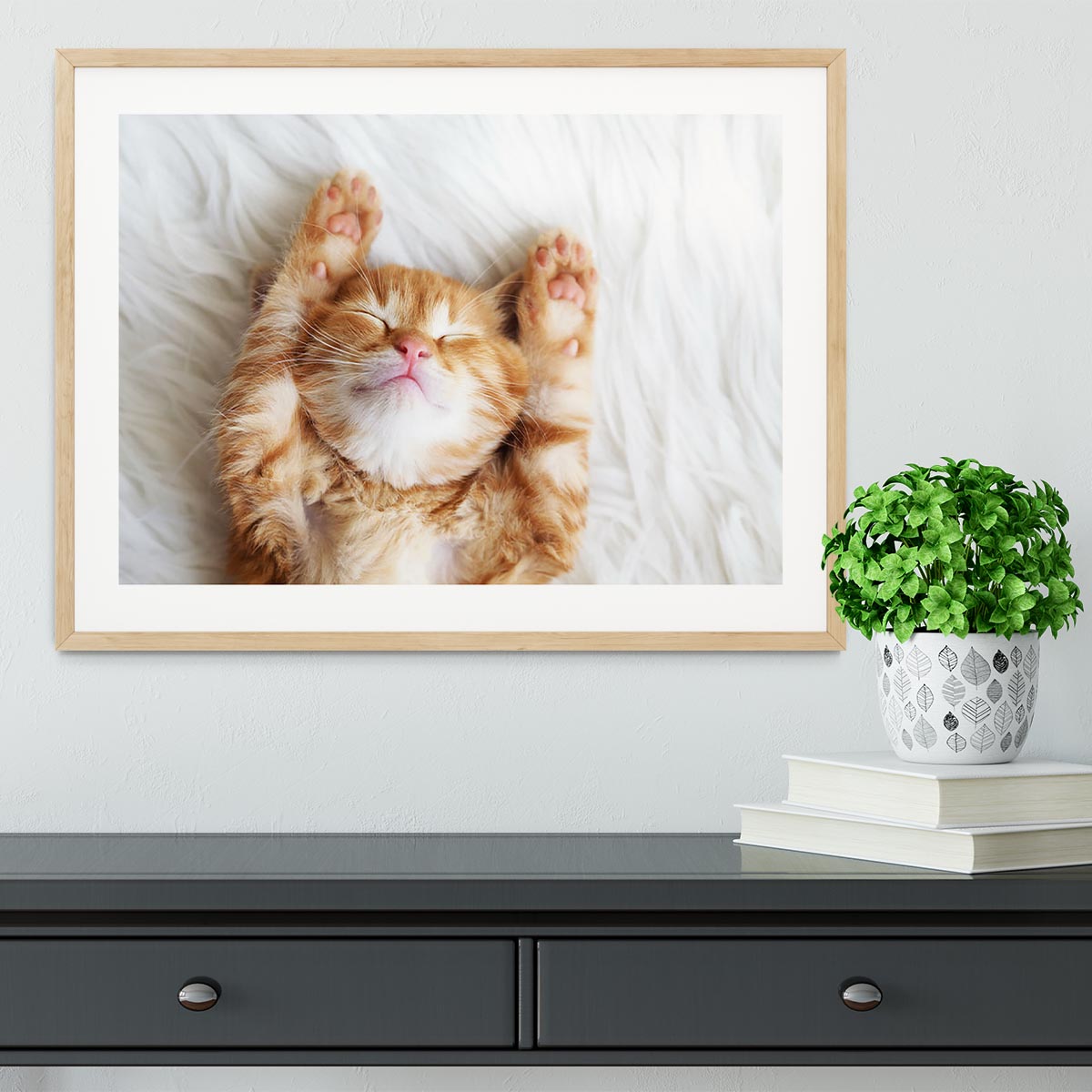 Cute little red kitten sleeps on fur white blanket Framed Print - Canvas Art Rocks - 3