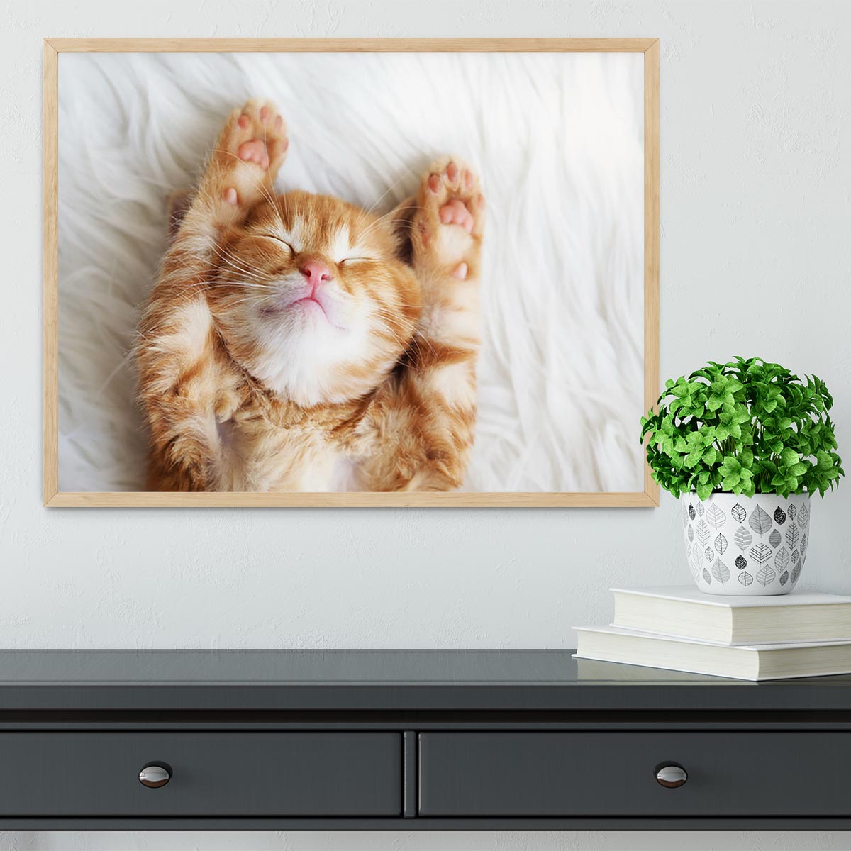 Cute little red kitten sleeps on fur white blanket Framed Print - Canvas Art Rocks - 4
