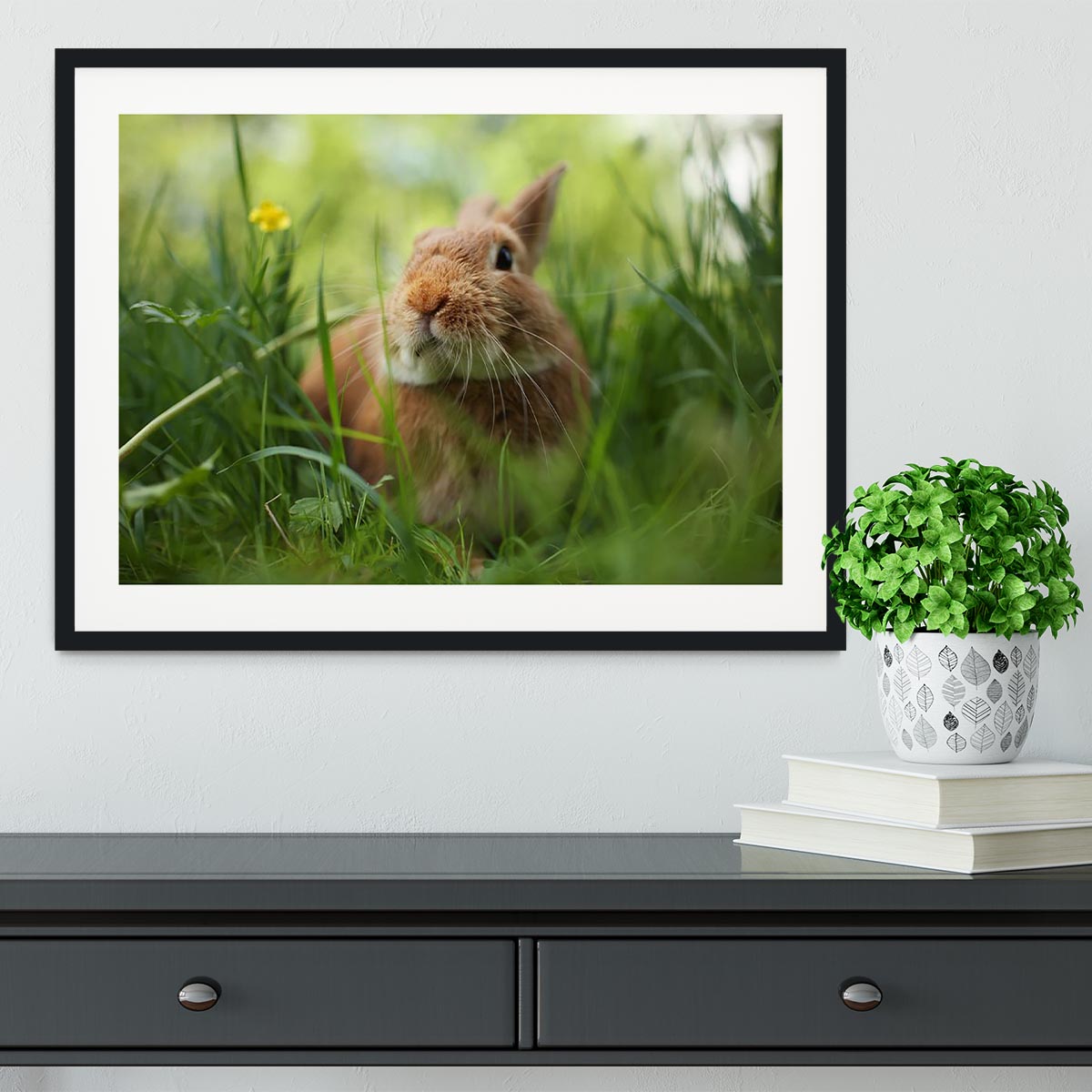 Cute rabbit in green grass Framed Print - Canvas Art Rocks - 1