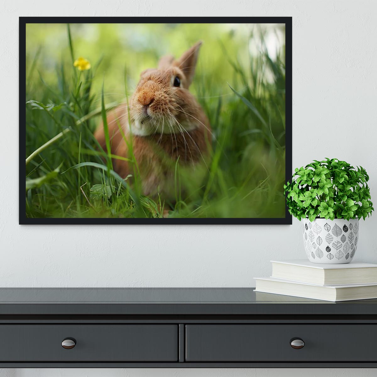 Cute rabbit in green grass Framed Print - Canvas Art Rocks - 2