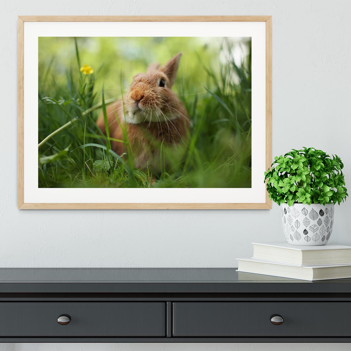 Cute rabbit in green grass Framed Print - Canvas Art Rocks - 3
