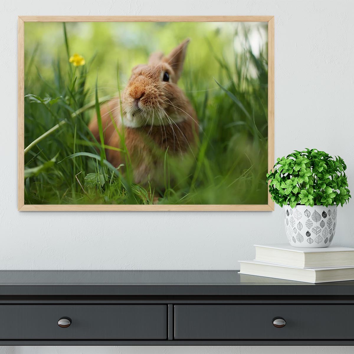 Cute rabbit in green grass Framed Print - Canvas Art Rocks - 4
