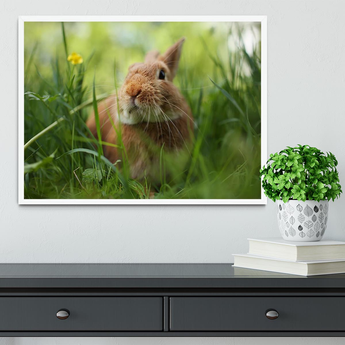 Cute rabbit in green grass Framed Print - Canvas Art Rocks -6