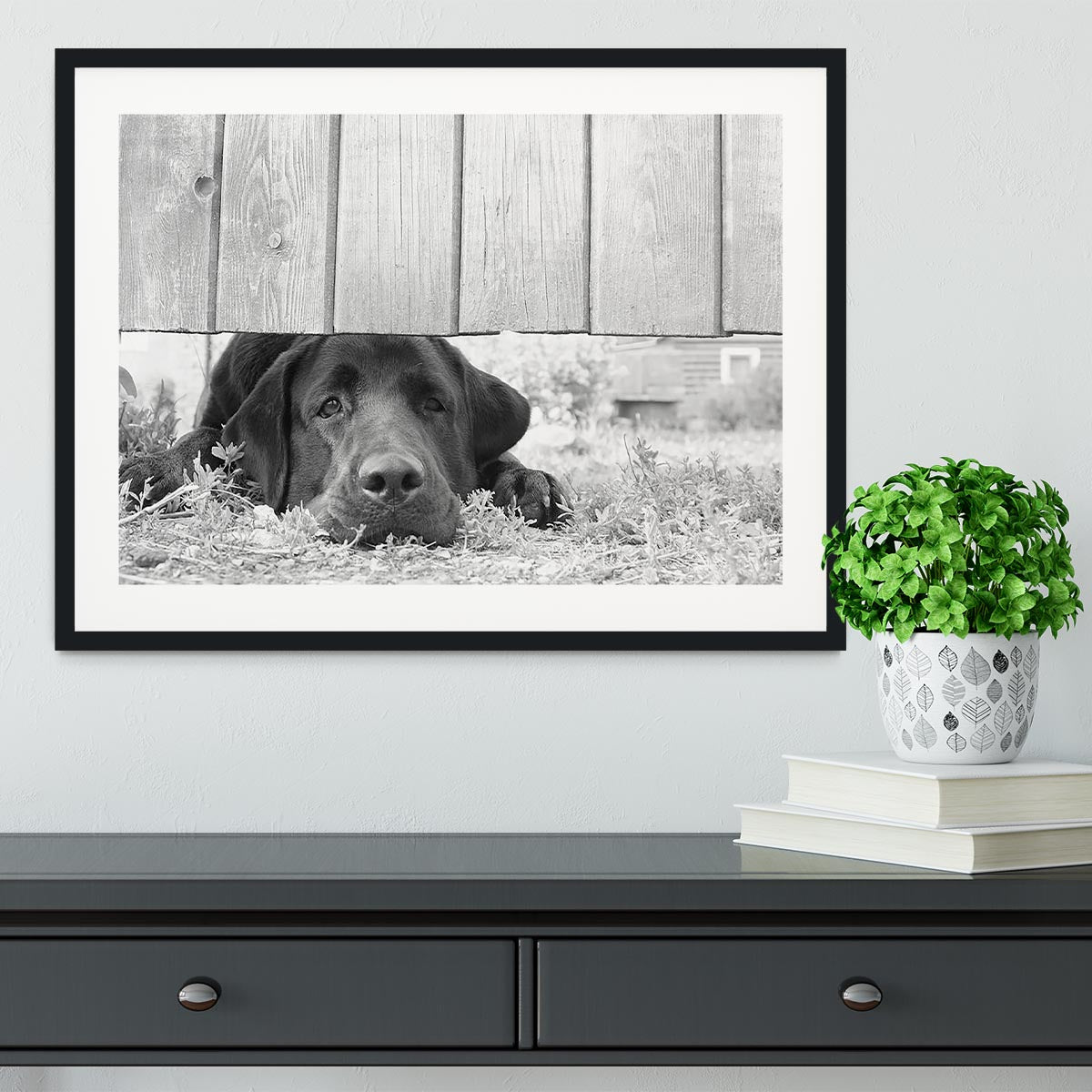 Cute sad dog waiting under the wooden fence Framed Print - Canvas Art Rocks - 1