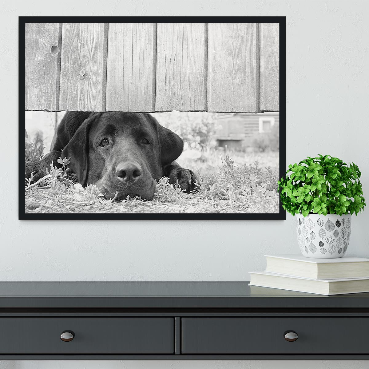 Cute sad dog waiting under the wooden fence Framed Print - Canvas Art Rocks - 2